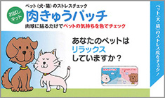 肉きゅう4パッチ